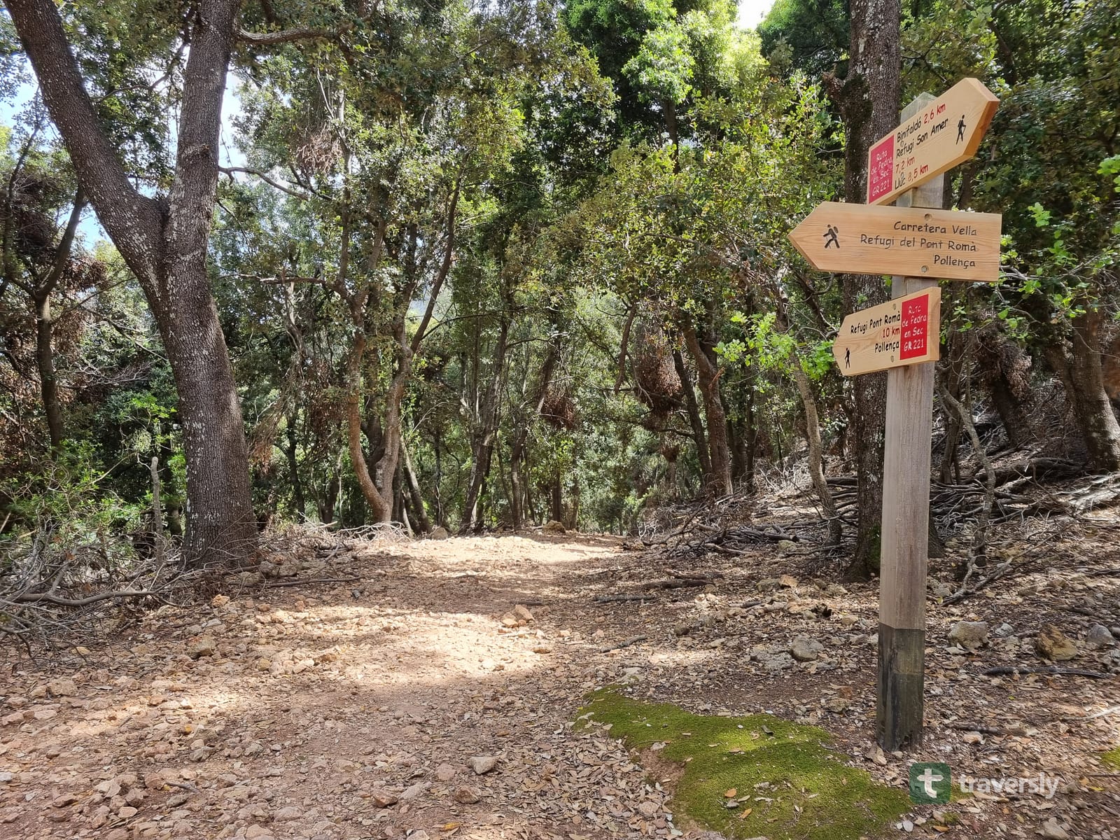 A new GR221 wooden signpost with red-and-white stripes at a forest trail junction near Pollença, Mallorca.