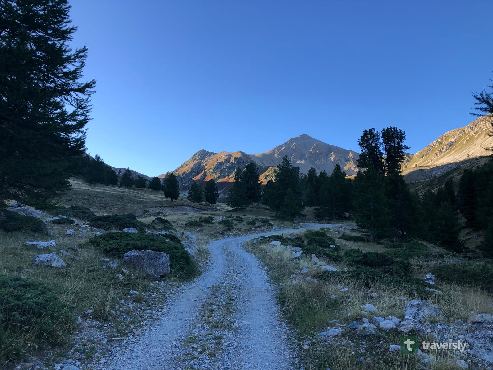 A dirt trail on the GR5 in the French Alps at first light, heading toward a sunlit peak through larch trees.